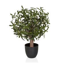 Olive S - Kunstige plante Grøn