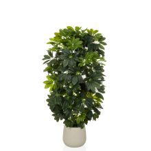 Schefflera 2 - Kunstige plante Grøn/Hvid
