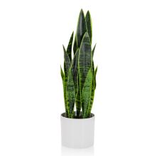 SANSEVIERIA - Kunstige plante 