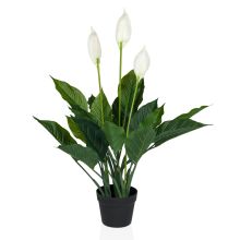 SPATHIPHYLLUM - Kunstige plante 